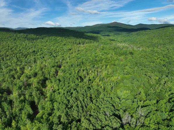 Map 10 Lot 1 Dow Brook Road, Peru, ME 04290