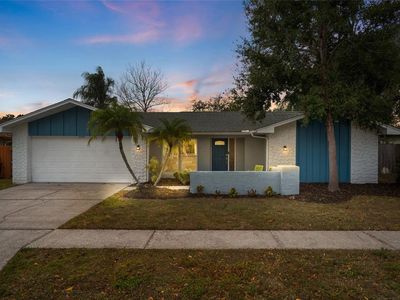 3442 Glossy Ibis Ct, Palm Harbor, FL, 34683