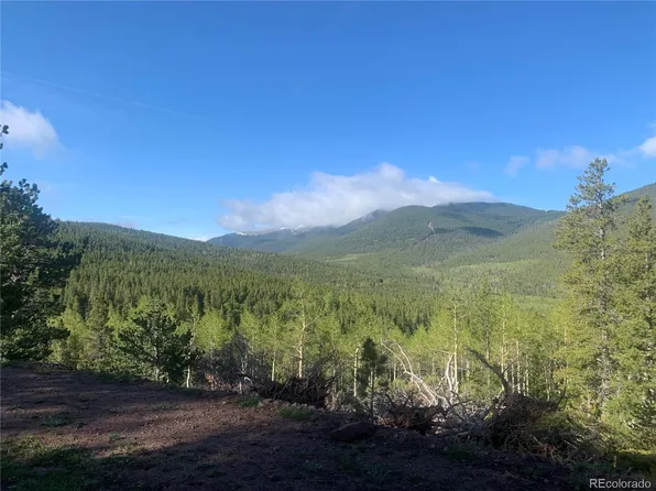 3207 VAUGHN Lane LOT 3207, Fort Garland, CO 81133