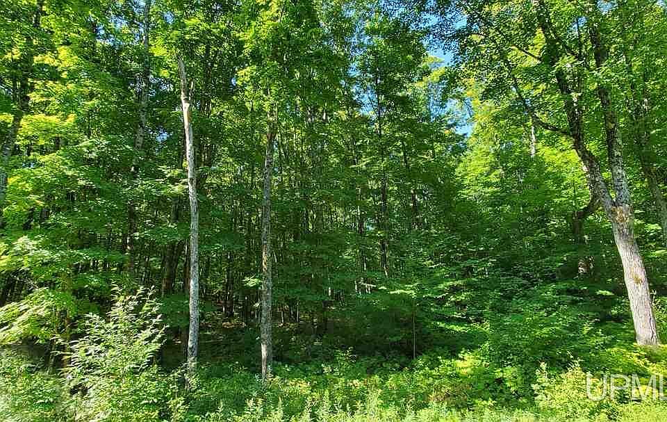 Little Smoky 16, Iron River, MI 49935 MLS 50077926 Zillow