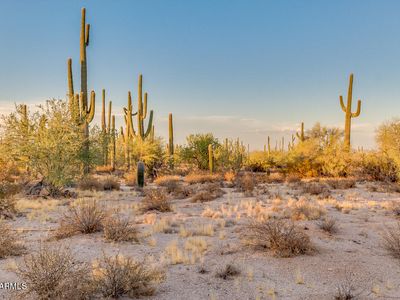 0 W Cardinal Rd, Maricopa, AZ, 85139