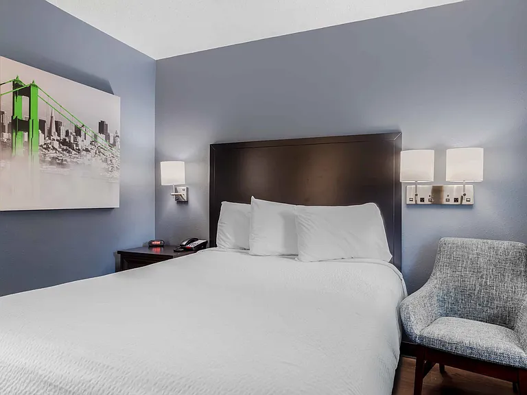 Studio Suite - 1 Queen Bed