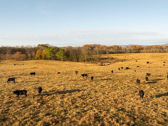 5th image of 0 Lee Clarkson Rd