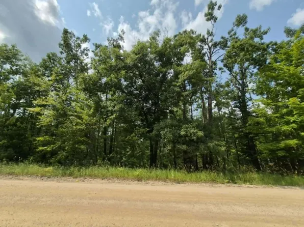 16370 Timberline Dr, Wolverine, MI 49799