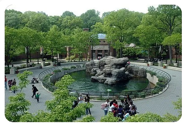 Sold by Lombardo Homes & Estates | media 18