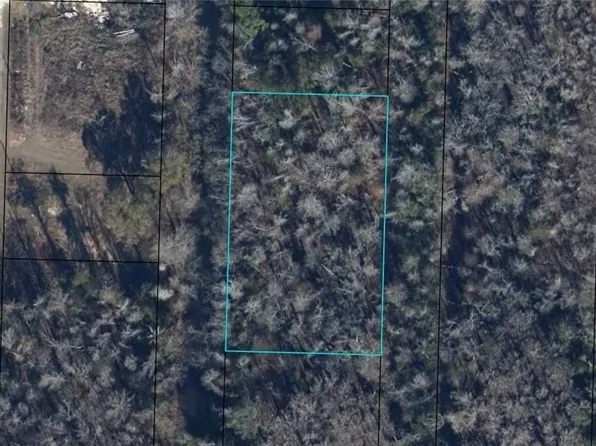 12-3S-10-0160-00 Pine St, Wewahitchka, FL 32449