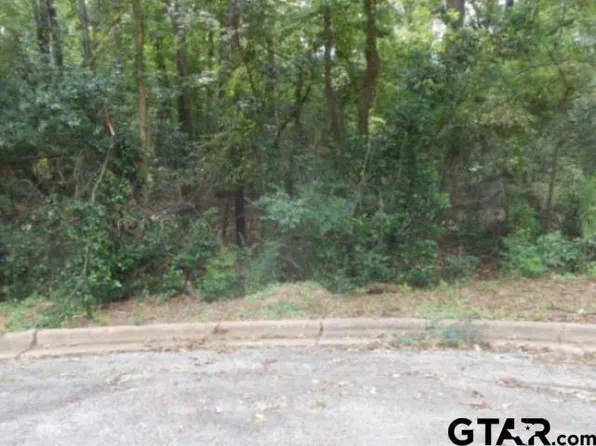 315 Sundown Trl, Henderson, TX 75654