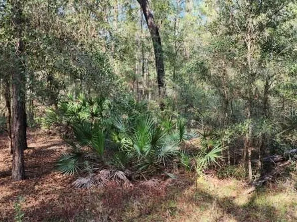 TBD SW 25 PLACE LOT 30, OCALA, FL 34481