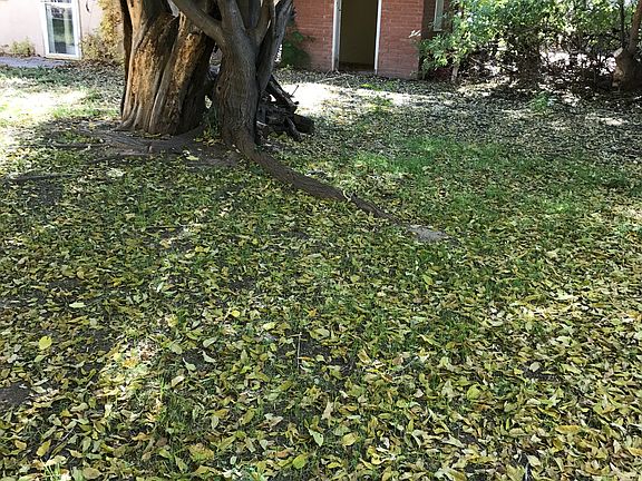 Casita