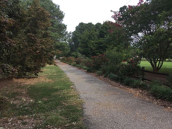 Asphalt driveway, privacy 