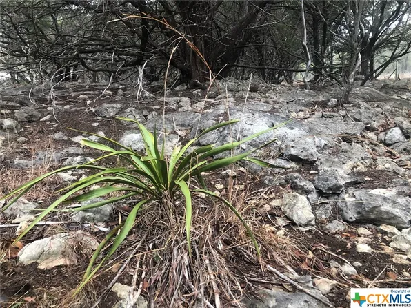 58 Wide Canyon Dr, Wimberley, TX 78676