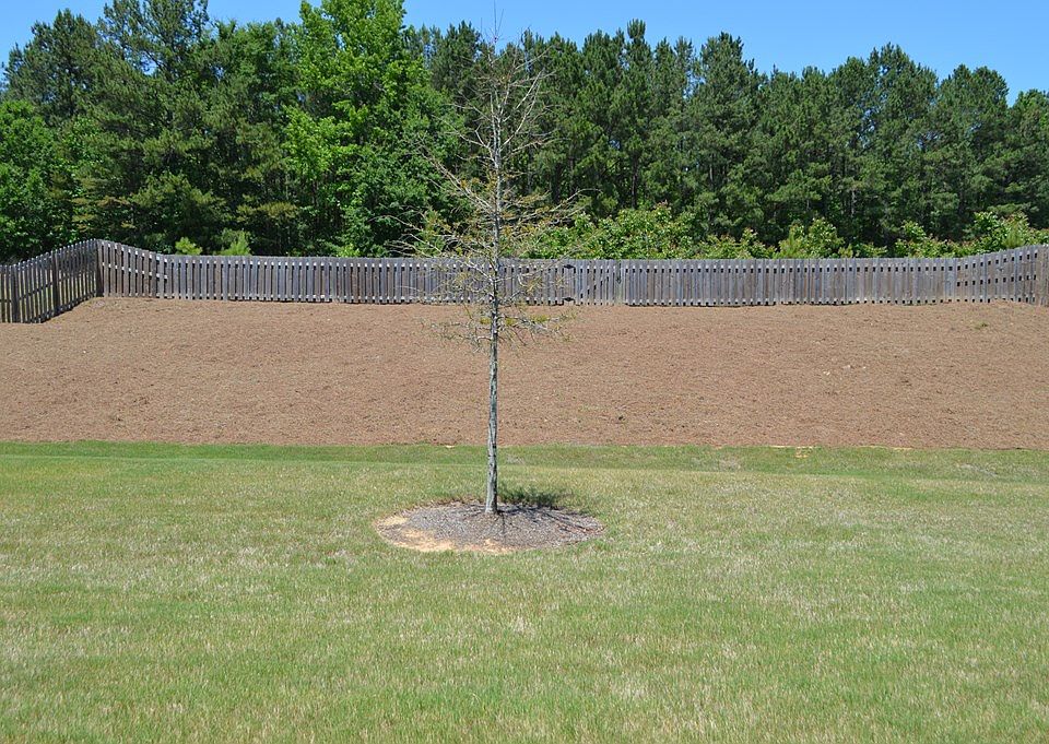 2nd image of 817 Burch Creek Dr