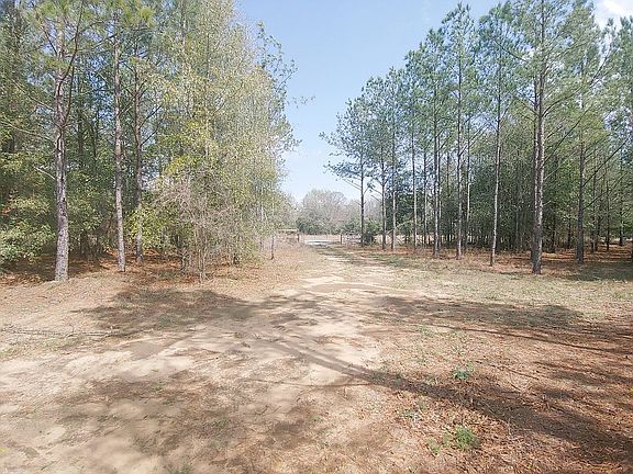 5th image of 2420 Little Sandy Creek Rd