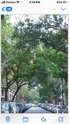 Rented by Apartments by Us | media 7