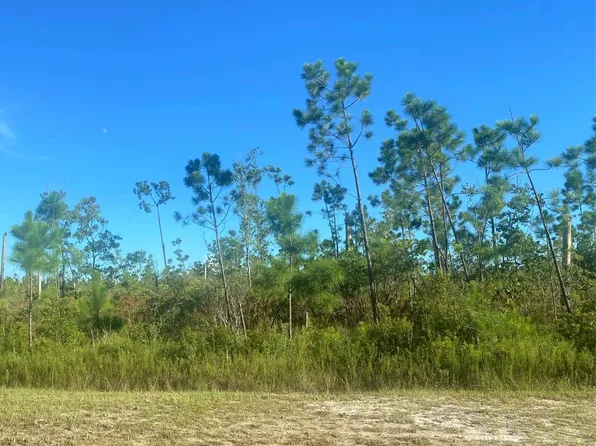 152 Wide Water Cir, Wewahitchka, FL 32465