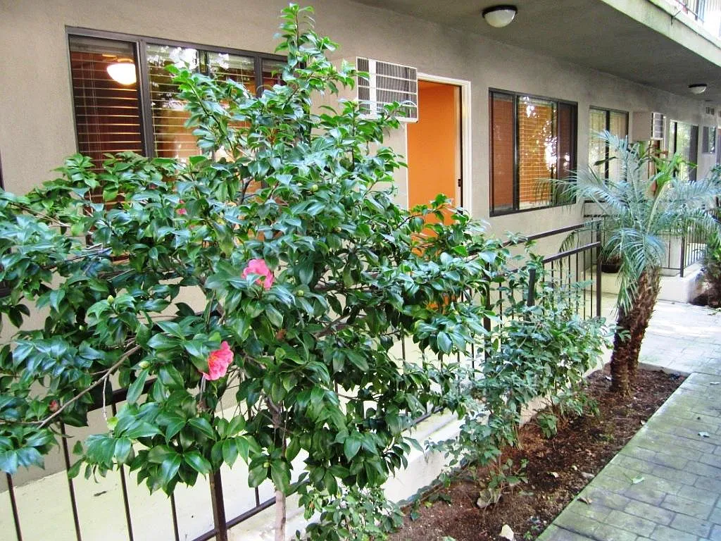 132 N Hayworth Ave — Photo 2