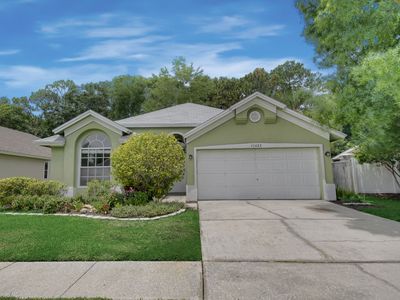 13422 Eudora Pl, Tampa, FL, 33626