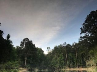 Bull Swamp Rd, North, SC 29112