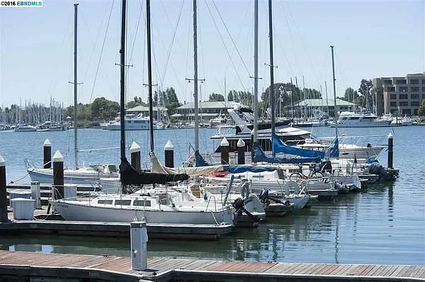 5 Embarcadero W #215 — Photo 13