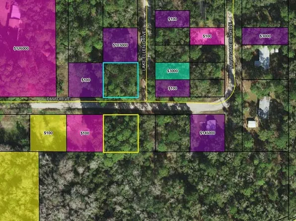 Xxx Lake Ellen Dr, Crawfordville, FL 32327