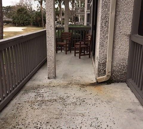 3rd image of 289 Moss Oak Cir