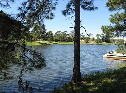 back yard lake view
