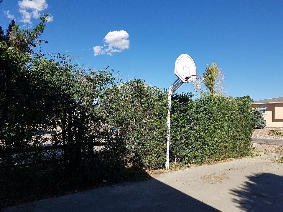 10Ft privacy hedge and BB 