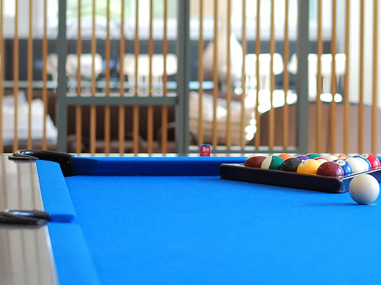 Pool Table in Game Room