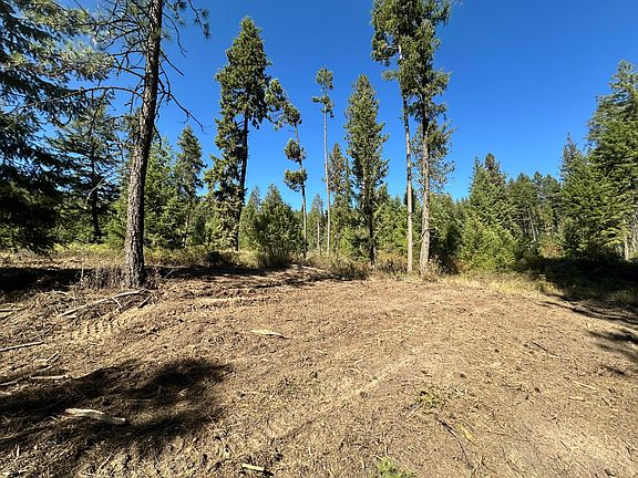 5th image of LOT 1 Deadman Creek Rd