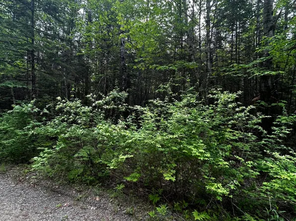 Lot 9-2 Lilly Drive, Newport, ME 04953