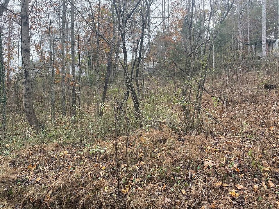 2nd image of 230 Norris Rd