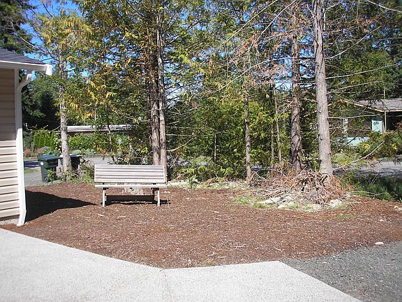 Court Yard Area