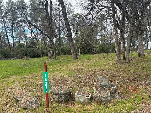 5th image of 16370 Trail Dr