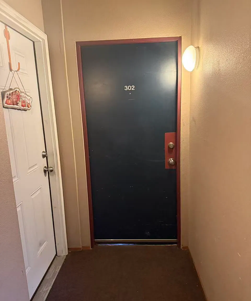 1 bed, 500 sqft, $1,100 — Photo 1