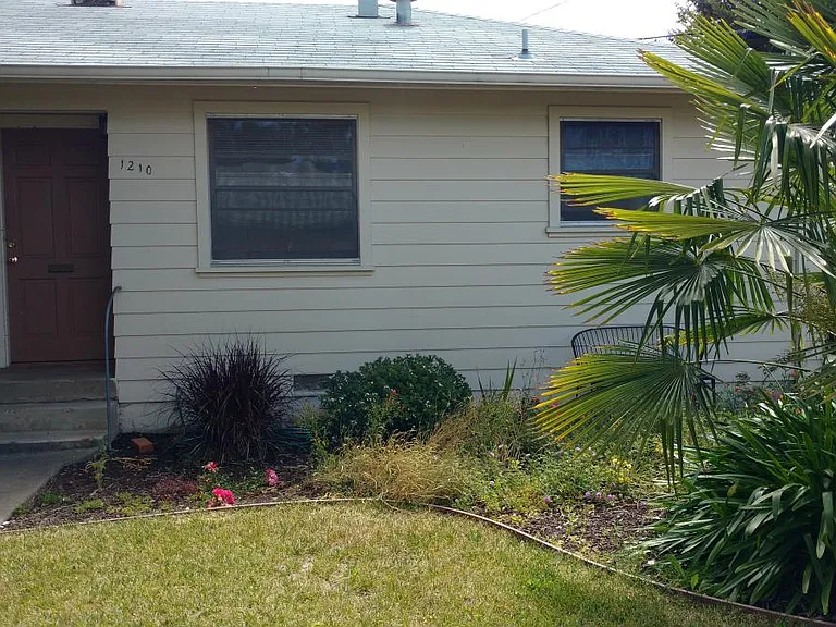 Front yard
