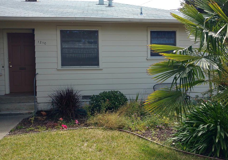 Front yard
