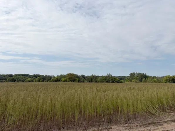 Yellow Pine St NW, Isanti, MN 55040