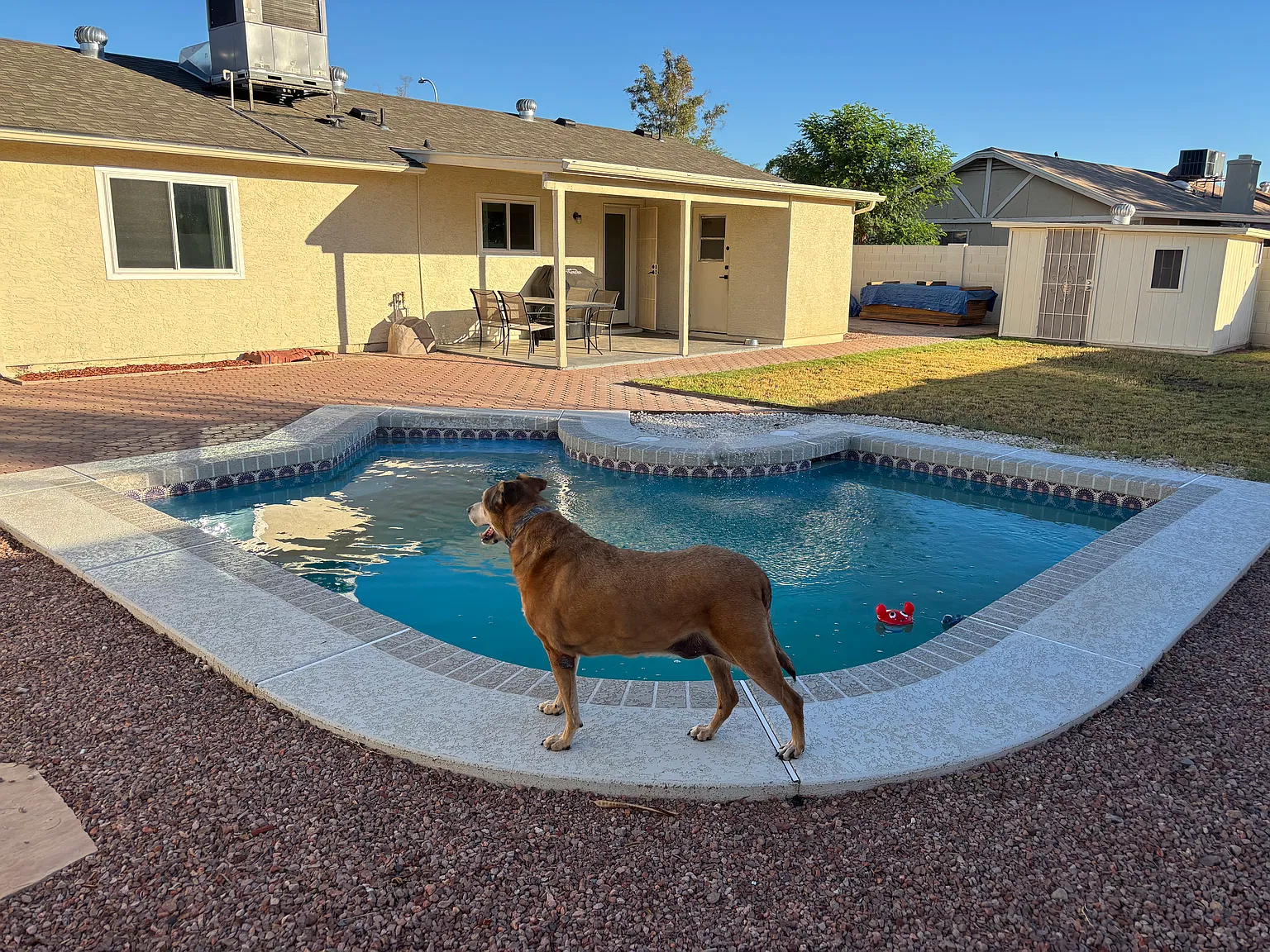 3 bed, 1215 sqft, $2,395 — Photo 4