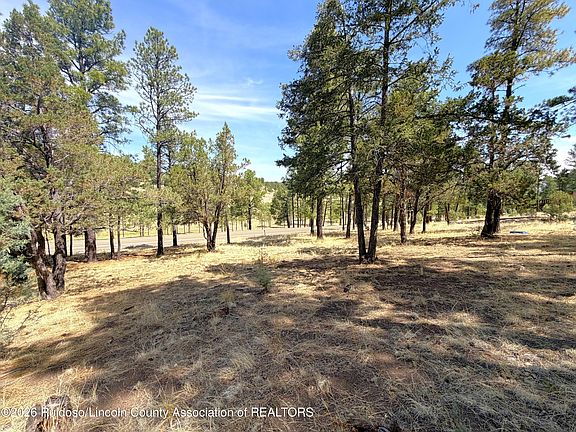 4th image of 66 Fort Stanton Rd