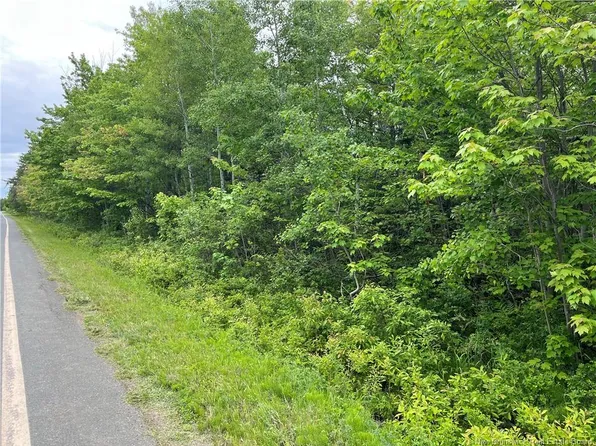 1446 Chatillon, Maisonnette, NB E8N 1R1