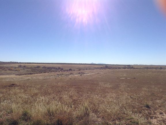 pasture