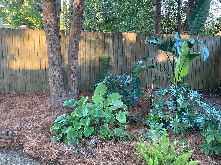 Corner yard of fully fenced yard.