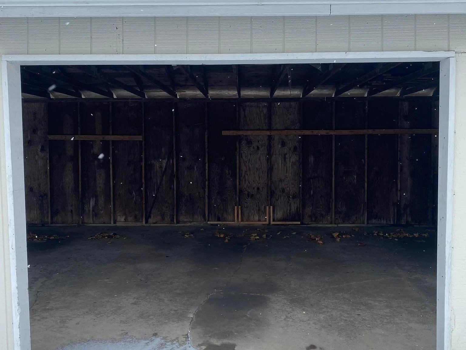 2 bed, 900 sqft, $1,250 — Photo 2
