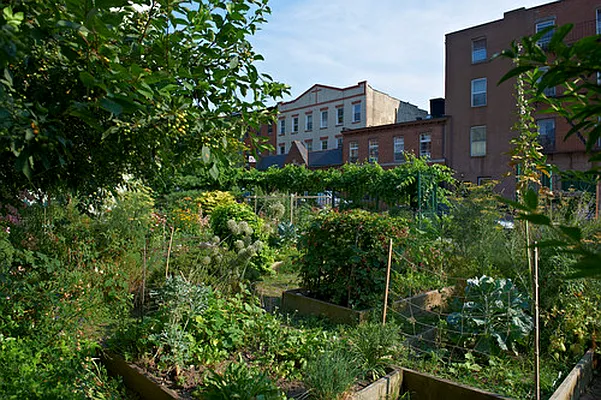 Rented by Realty Collective | media 12