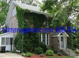 749 Baltzell St, Madison, WI 53711