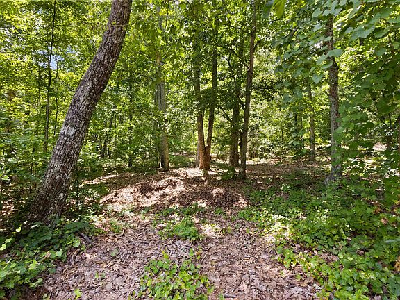 4th image of 409 S Buckhorn Rd