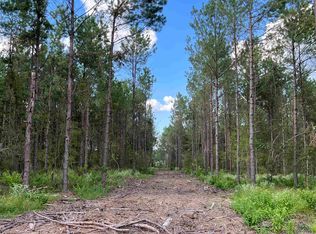 2960 Lewis Chapel Rd, Jefferson, TX 75657