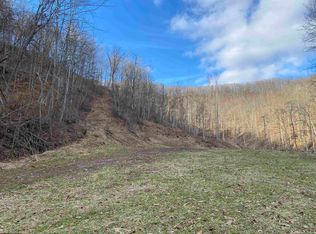 Dumpling Run Rd, Burnsville, WV 26335