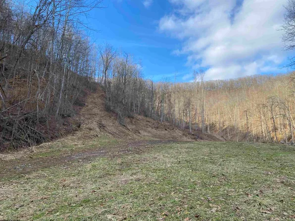 Dumpling Run Rd, Burnsville, WV 26335