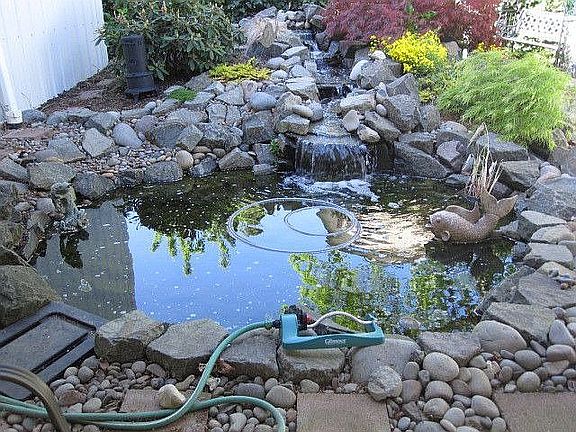 Pond